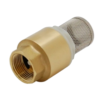 Изображение Клапан обратный пружинный 1/2 с фильтром FRAP (арт. FR405-B-1/2)
